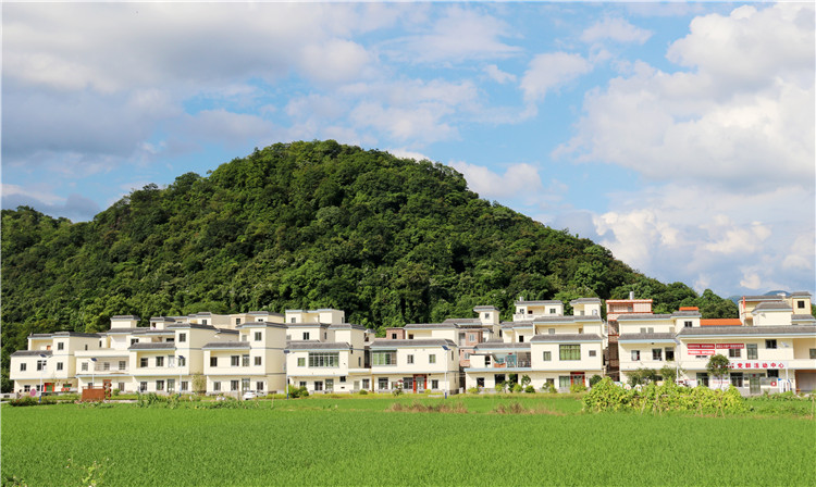 沙園村全村面貌煥然一新。（清遠日報特約通訊員張麗思 攝）.jpg